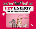 Animal Reiki Session: Pet Energy Healing for Stress Relief - Kudalini