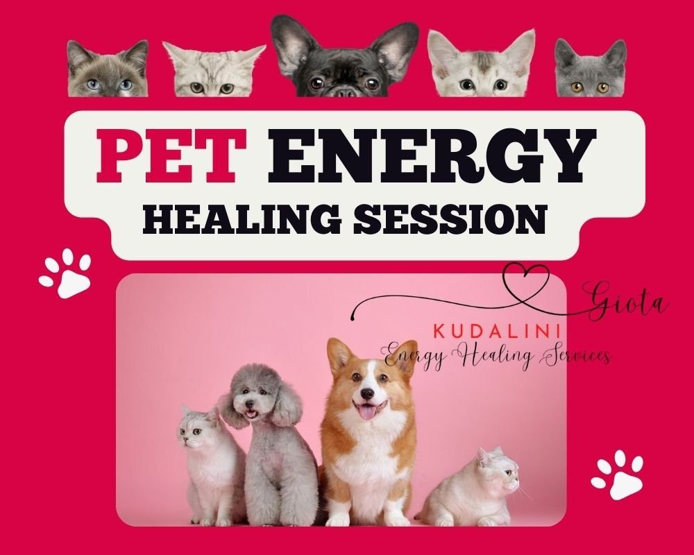 Animal Reiki Session: Pet Energy Healing for Stress Relief - Kudalini